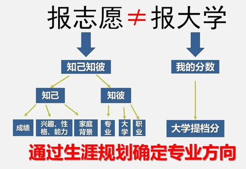2024年報考志愿指南 計算機專業就業方向，鴻蒙開發與人工智能如何選擇？
